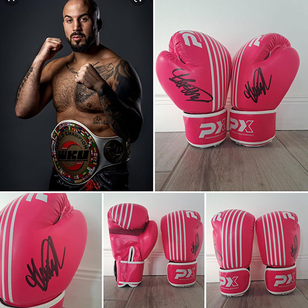 Facebook Auktion @becksnagelforkids Massimo de Lorenzo Kickbox-Handschuhe, signiert